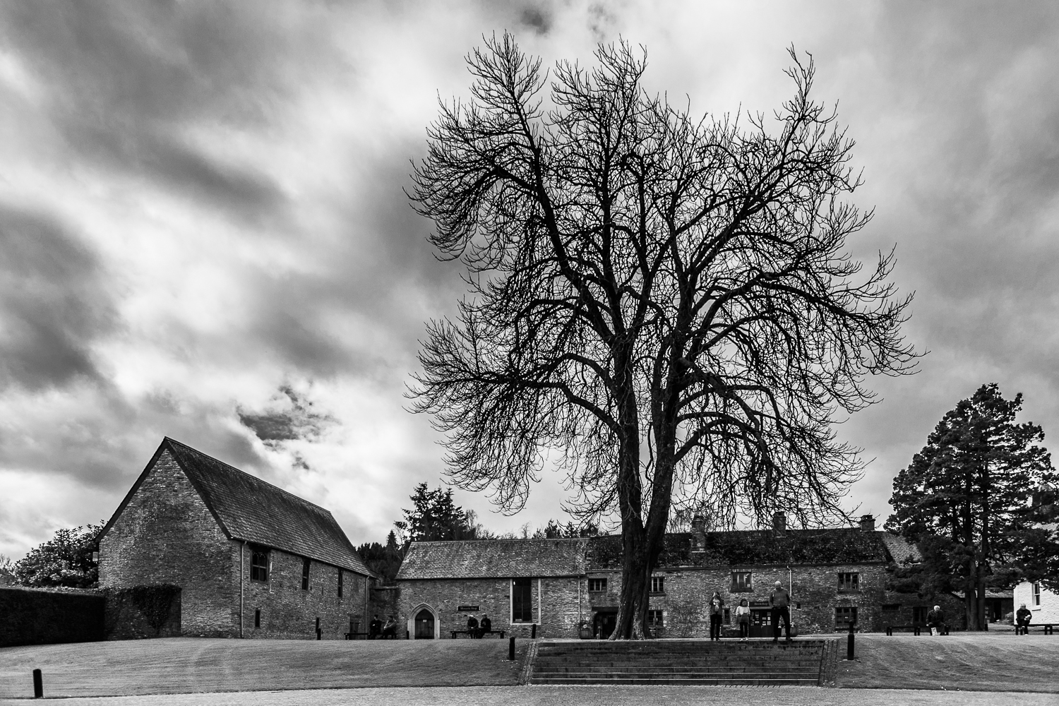 Buckfast Abbey